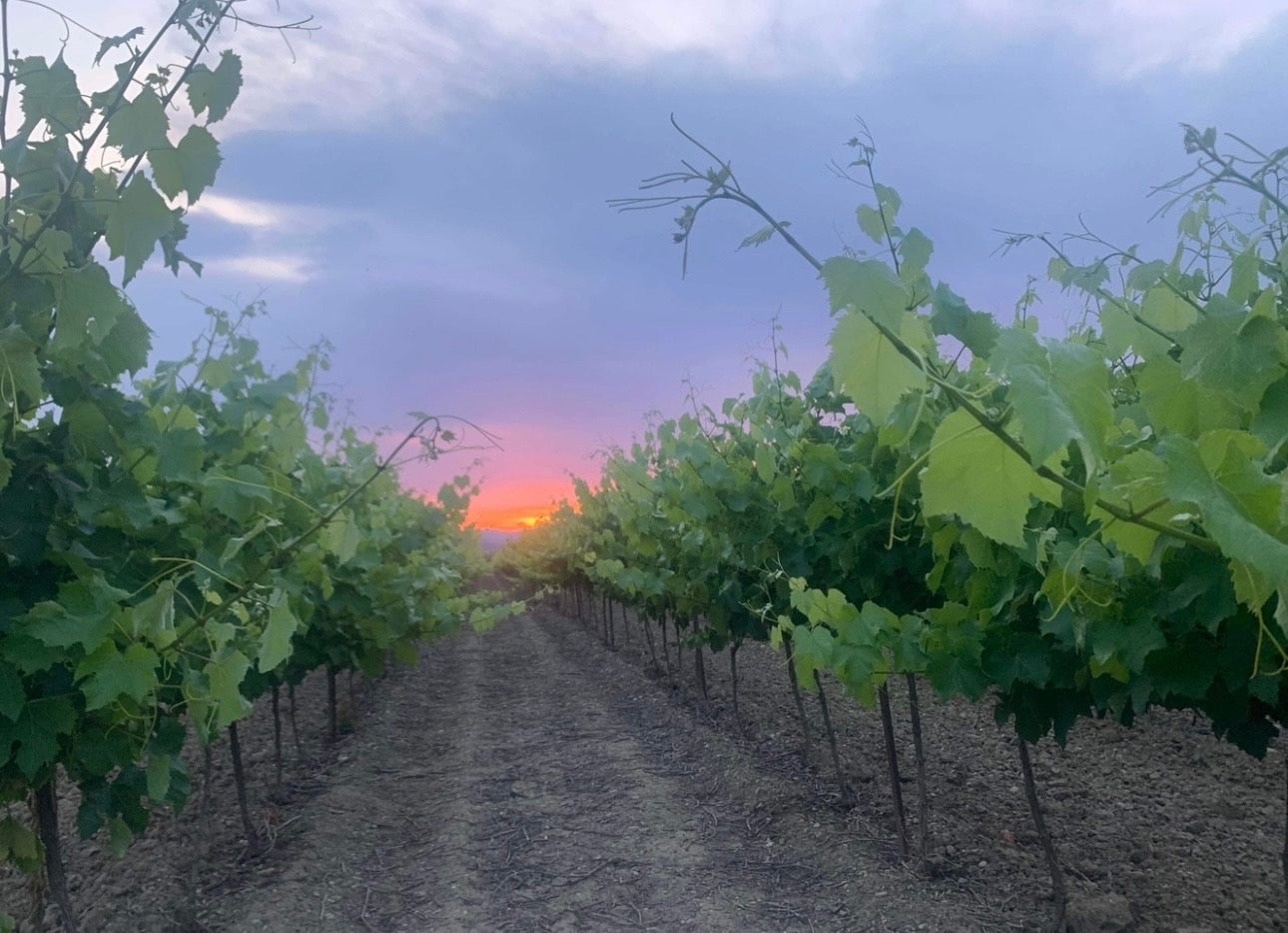 Smaken av Frankrike – Retreat for ro, glød og balanse Yoga • hudpleie • livsnytelse i Sør-Frankrike